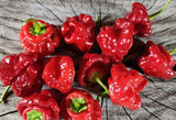 Pepper Seeds - Hot - Mushroom Red