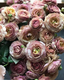 Rosanne 3 Brown F1 Lisianthus Seeds