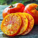Tomato Seeds - Slicing - Pineapple (Organic)