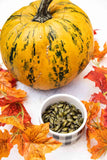 Pumpkin Seeds - Pepitas F1 AAS Winner