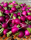 Radish Seeds - Purple Plum