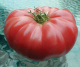 Tomato Seeds - Slicing - Watermelon Beefsteak