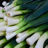 Leek Seeds - Large American Flag