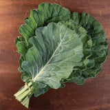 Collard Greens – Top Bunch 2.0 F1