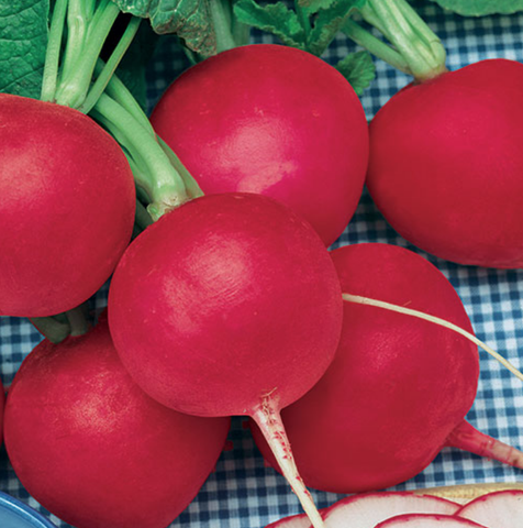 Radish Seeds - Butter Globe
