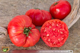 Tomato Seeds - Slicing - Watermelon Beefsteak