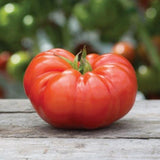 Tomato Seeds - Slicing - Giant Red Beefsteak
