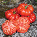 Tomato Seeds - Slicing - Costoluto Genovese