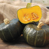 Pumpkin Seeds - Winter - Burgess Buttercup
