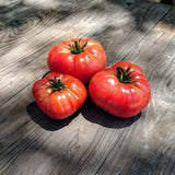 Tomato Seeds - Slicing - Giant Red Beefsteak