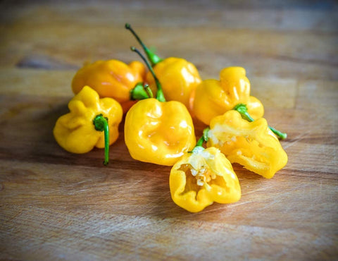 Pepper Seeds - Hot - Devils Yellow