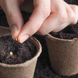 Seeds and Microgreens Starting Mix