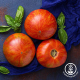 Salad - Tigerella - Tomato Seeds