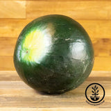 Watermelon Seeds - Giant - Black Diamond Yellow Belly