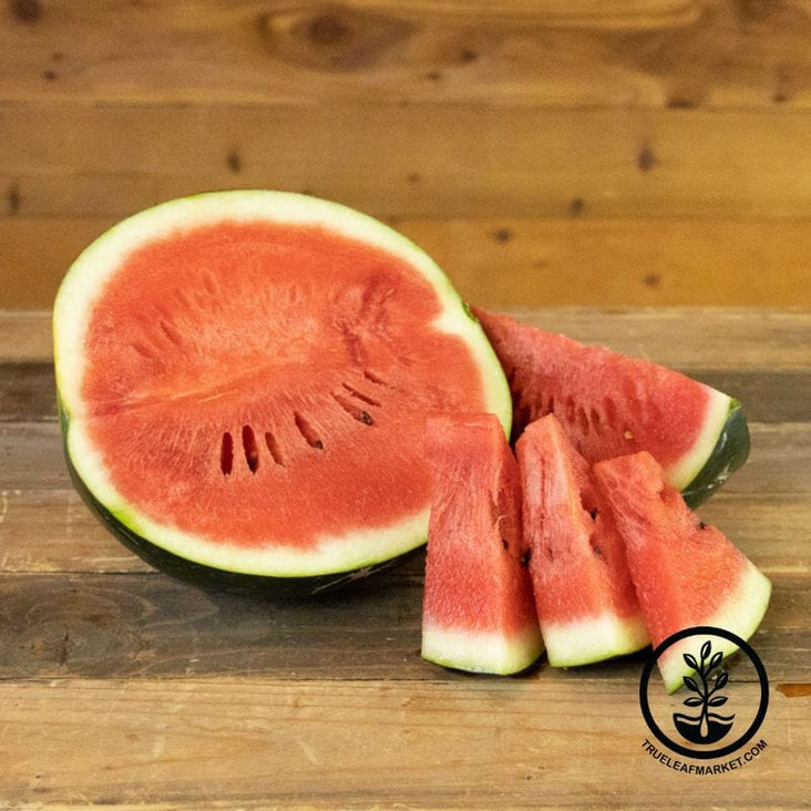 Watermelon Seeds - Giant - Black Diamond Yellow Belly