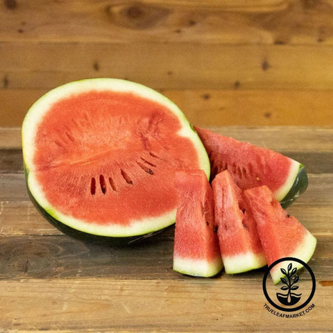 Watermelon Seeds - Giant - Black Diamond Yellow Belly