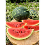 Watermelon Seeds - Mini - Mini love AAS winner